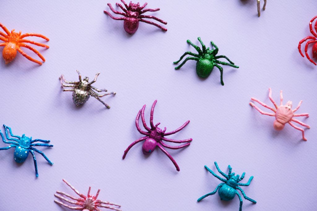 Teal Pumpkin treats: plastic spiders